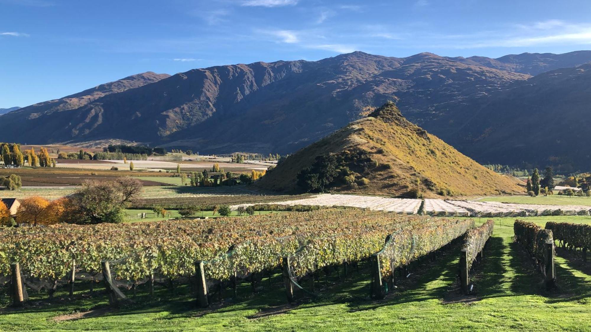 Mt Rosa Lodge Boutique Vineyard Accommodation Wanaka Exteriér fotografie