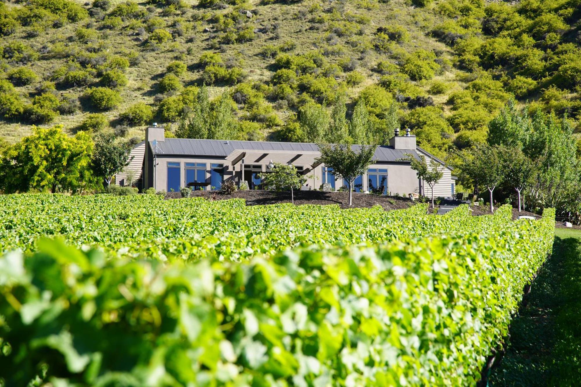 Mt Rosa Lodge Boutique Vineyard Accommodation Wanaka Exteriér fotografie