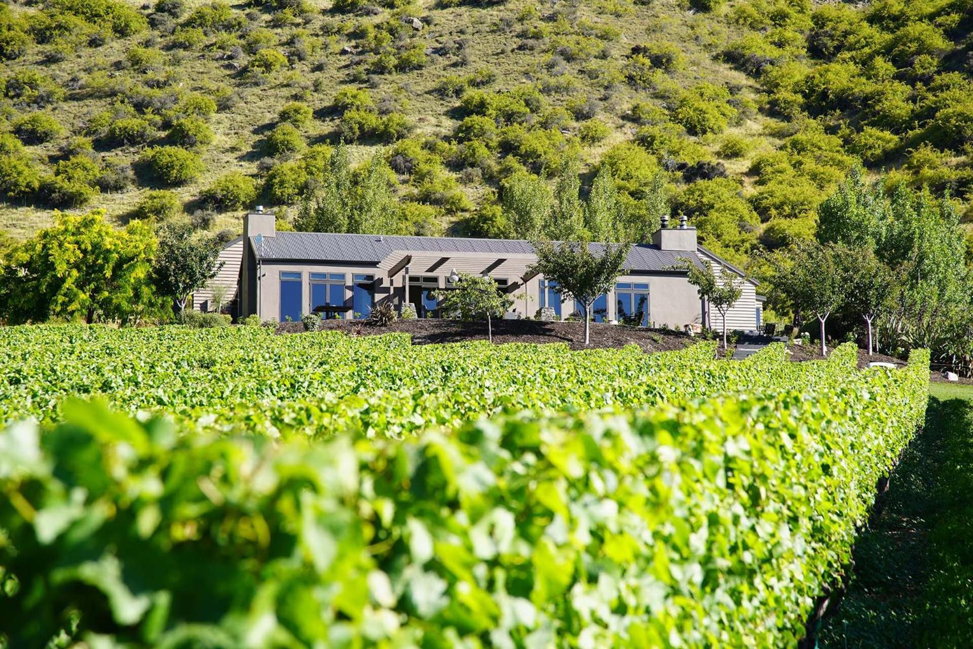 Mt Rosa Lodge Boutique Vineyard Accommodation Wanaka Exteriér fotografie