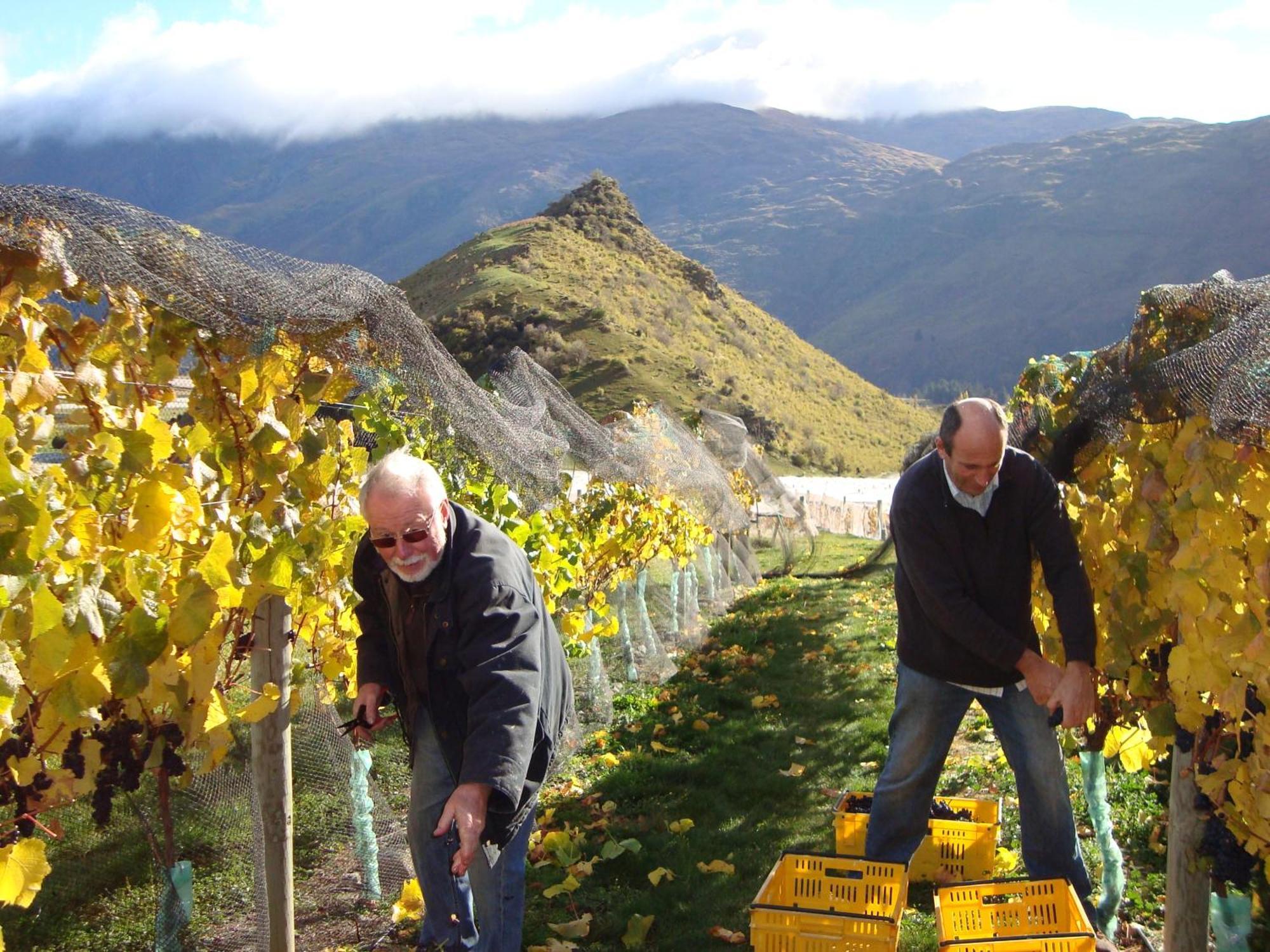 Mt Rosa Lodge Boutique Vineyard Accommodation Wanaka Exteriér fotografie