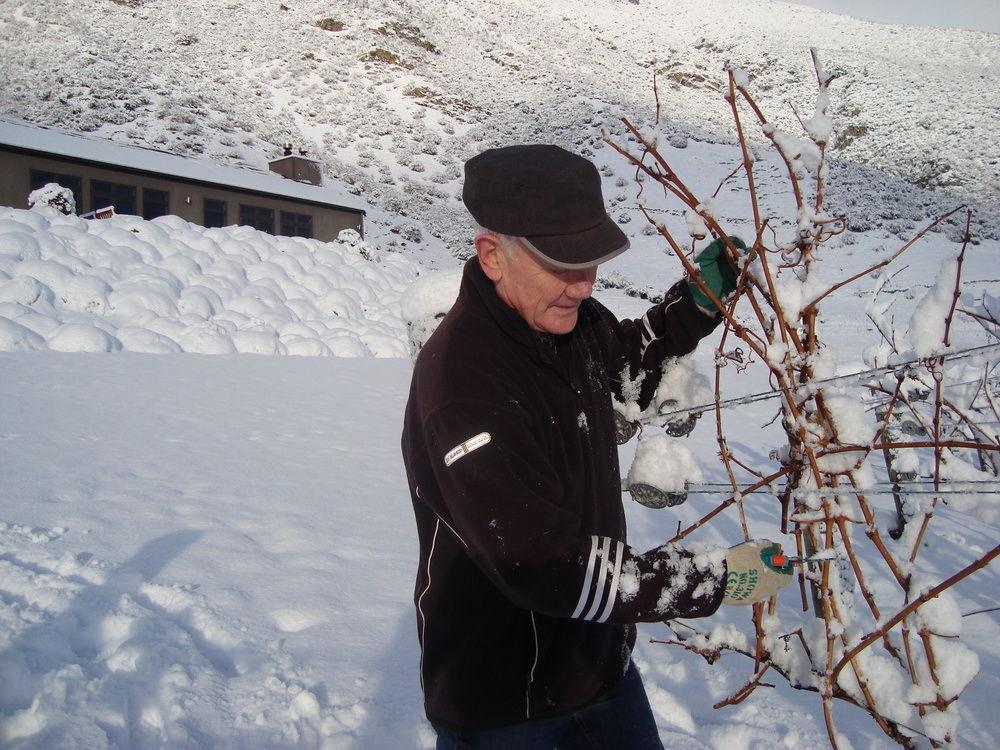 Mt Rosa Lodge Boutique Vineyard Accommodation Wanaka Exteriér fotografie