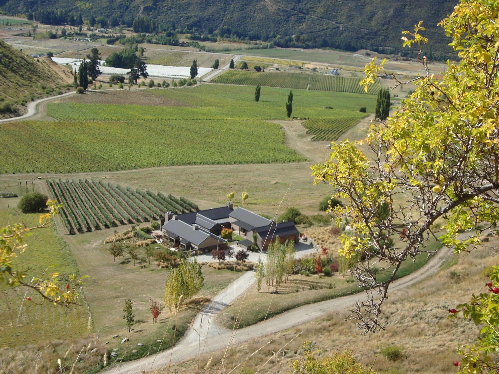 Mt Rosa Lodge Boutique Vineyard Accommodation Wanaka Exteriér fotografie
